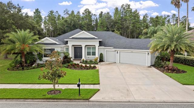 20454 Lace Cascade Rd, Land O Lakes, FL 34637