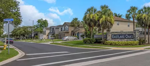 1704 Split Fork Dr, Oldsmar, FL 34677 photo 77
