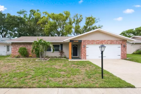 3229 Spanish Moss Ln, Palm Harbor, FL 34684
