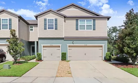 5036 Blue Latan Ln, Tampa, FL 33610