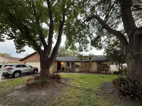 15116 Trail Creek Pl, Tampa, FL 33625