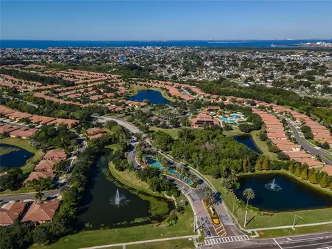 View/Area - 132 Shell Falls Dr, Apollo Beach, FL 33572 photo 10 of 15