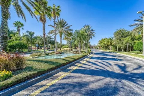 View/Area - 132 Shell Falls Dr, Apollo Beach, FL 33572 photo 9 of 15