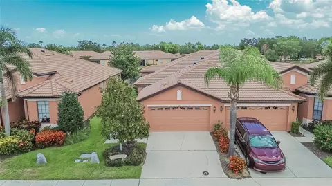 View/Area - 132 Shell Falls Dr, Apollo Beach, FL 33572 photo 4 of 15