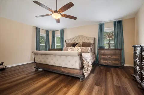 Bedroom - 1630 Tawnyberry Ct, Trinity, FL 34655 photo 5 of 5