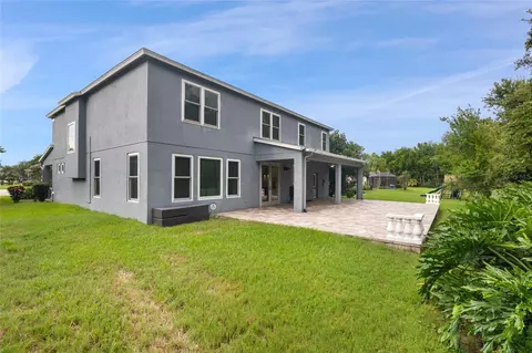 Exterior - 1630 Tawnyberry Ct, Trinity, FL 34655 photo 6 of 6