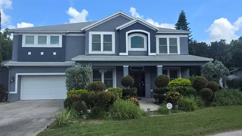 Exterior - 1630 Tawnyberry Ct, Trinity, FL 34655 photo 8 of 8