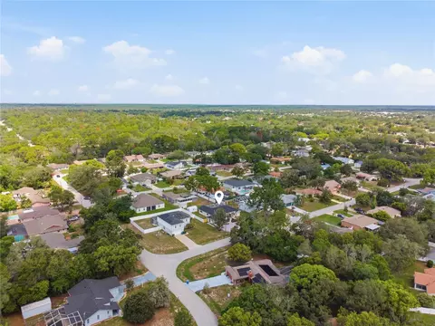 8378 Maltby Rd, Spring Hill, FL 34606 photo 45