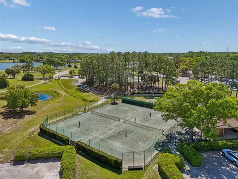 View/Area - 12507 Ashdown Dr, Odessa, FL 33556 photo 5 of 9