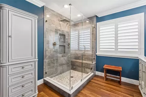 Bath - 12507 Ashdown Dr, Odessa, FL 33556 photo 5 of 10