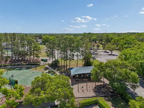 View/Area - 12507 Ashdown Dr, Odessa, FL 33556 photo 4 of 9
