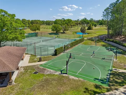 View/Area - 12507 Ashdown Dr, Odessa, FL 33556 photo 7 of 9