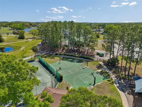 View/Area - 12507 Ashdown Dr, Odessa, FL 33556 photo 6 of 9