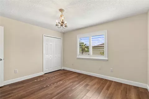 Bedroom - 12507 Ashdown Dr, Odessa, FL 33556 photo 1 of 5