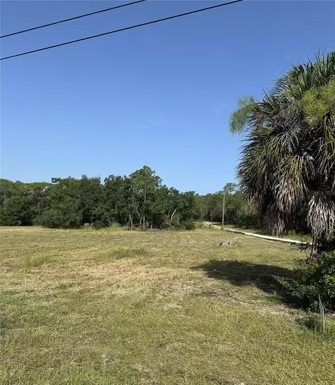11360 S Florida Ave, Floral City, FL 34436