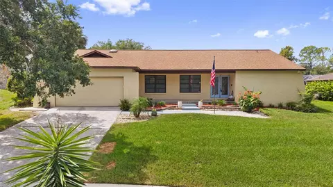 2311 Long Green Ct, Valrico, FL 33596