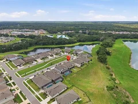 View/Area - 12970 Steed Trace Loop, Lithia, FL 33547 photo 4 of 6