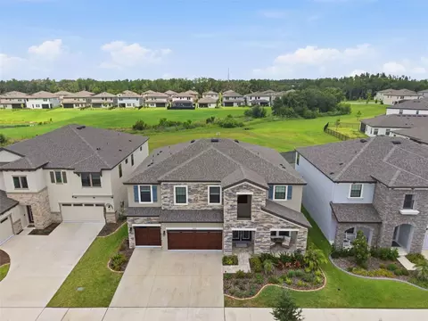 View/Area - 12970 Steed Trace Loop, Lithia, FL 33547 photo 6 of 6