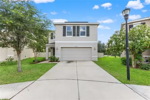 10823 Trailing Vine Dr, Tampa, FL 33610