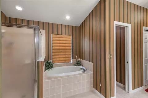 Bath - 13813 Sigler St, Riverview, FL 33579 photo 2 of 3