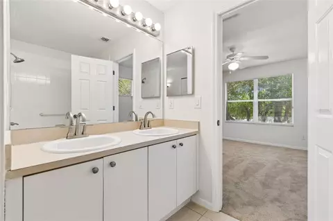 Bath - 10925 Winter Crest Dr, Riverview, FL 33569 photo 4 of 4