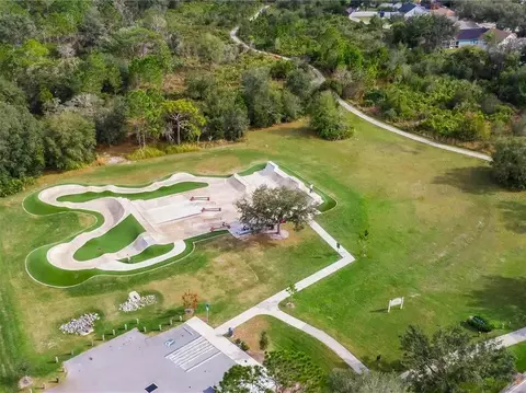 View/Area - 16910 Dorman Rd, Lithia, FL 33547 photo 3 of 5