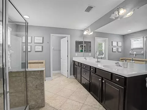Bath - 16910 Dorman Rd, Lithia, FL 33547 photo 2 of 5