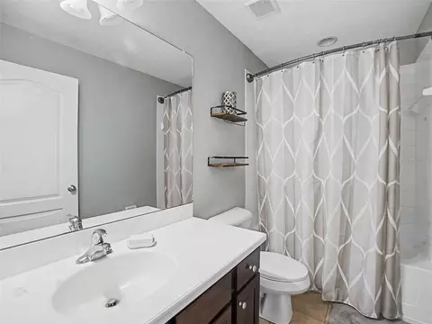 Bath - 16910 Dorman Rd, Lithia, FL 33547 photo 4 of 5