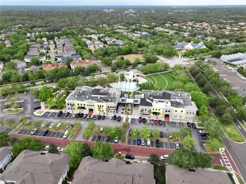 View/Area - 16910 Dorman Rd, Lithia, FL 33547 photo 4 of 5