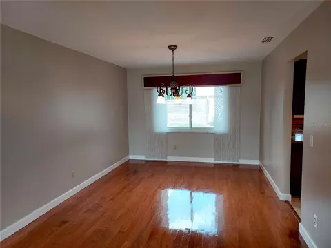 702 Hyssop Pl, Brandon, FL 33510 photo 11