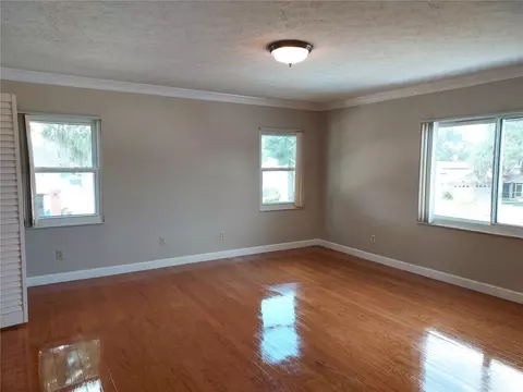 702 Hyssop Pl, Brandon, FL 33510 photo 23