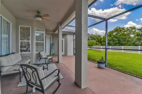 8706 Linebrook Dr, Trinity, FL 34655 photo 33