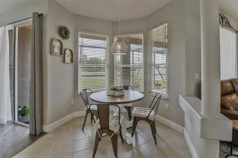 8706 Linebrook Dr, Trinity, FL 34655 photo 11