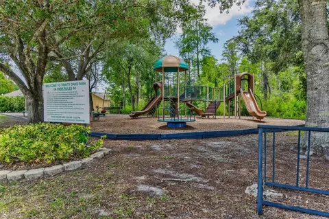 8706 Linebrook Dr, Trinity, FL 34655 photo 39