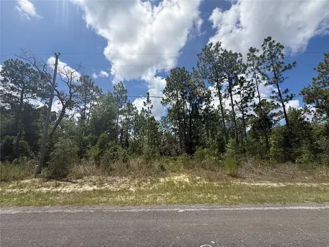 2812 W Edison Pl, Citrus Springs, FL 34433