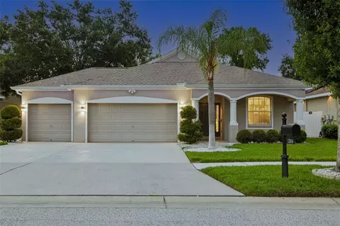 12816 Cattail Shore Ln, Riverview, FL 33579