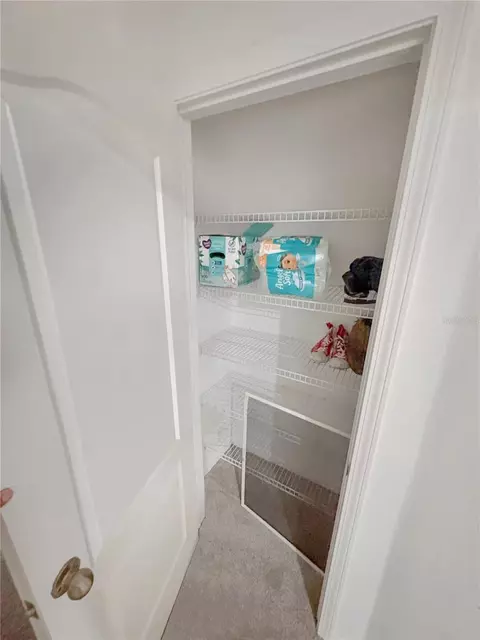 Other - 4924 Chatham Gate Dr, Riverview, FL 33578 photo 8 of 17