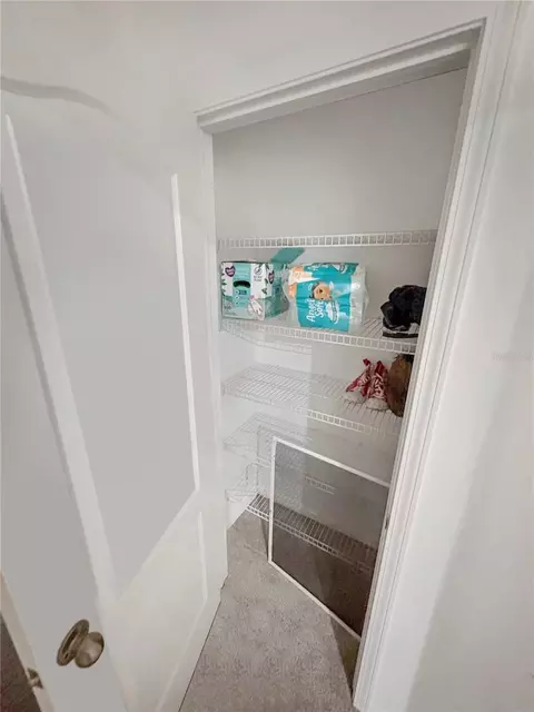 Other - 4924 Chatham Gate Dr, Riverview, FL 33578 photo 5 of 17