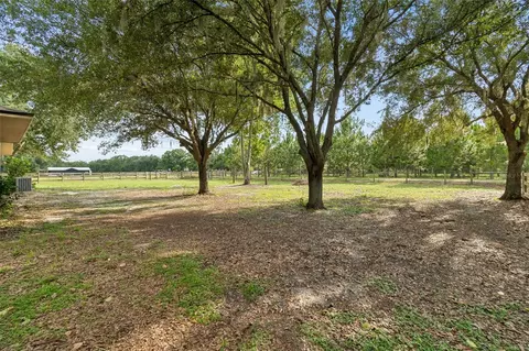 Exterior - 336 Corbett Rd, Lithia, FL 33547 photo 7 of 8