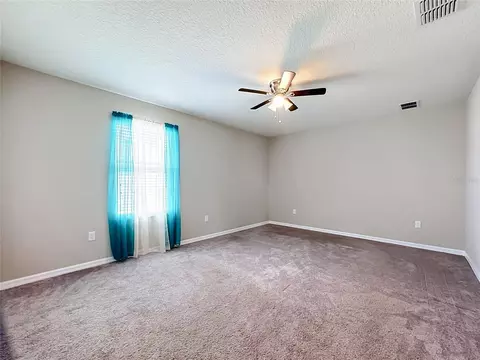 4923 Eagle Rock Dr, Wimauma, FL 33598 photo 28