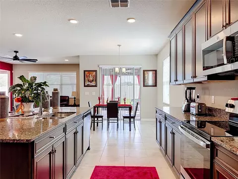 4923 Eagle Rock Dr, Wimauma, FL 33598 photo 13
