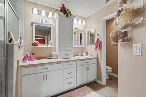 Bath - 11820 Stone Pine St, Riverview, FL 33569 photo 2 of 3