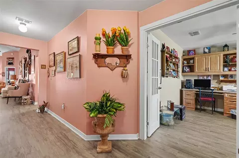 Entry Way - 11820 Stone Pine St, Riverview, FL 33569 photo 2 of 4