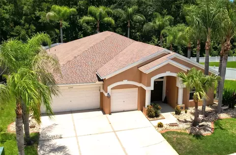 5049 Decidely Ct, Wesley Chapel, FL 33544