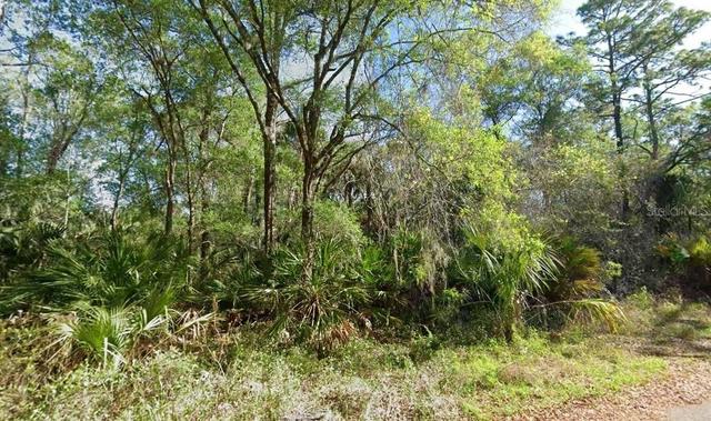 Undisclosed, Crystal River, FL 34428