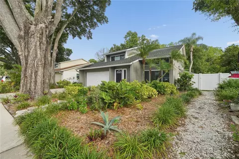 4712 Deerwalk Ave, Tampa, FL 33624