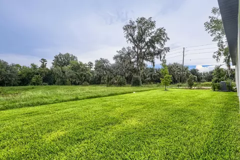 3819 Orange Forest Ln, Bartow, FL 33830 photo 27