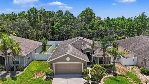 View/Area - 10048 Ives Loop, Hudson, FL 34667 photo 1 of 5