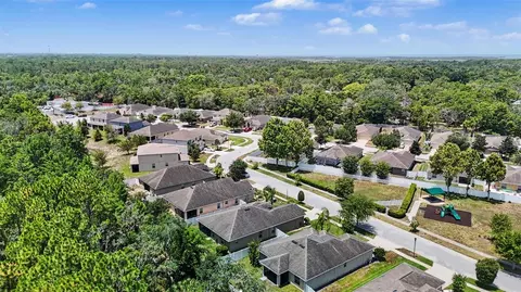 View/Area - 10048 Ives Loop, Hudson, FL 34667 photo 5 of 5