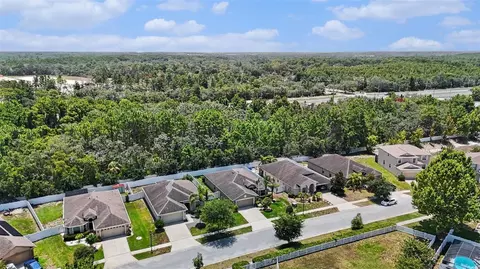 View/Area - 10048 Ives Loop, Hudson, FL 34667 photo 3 of 5